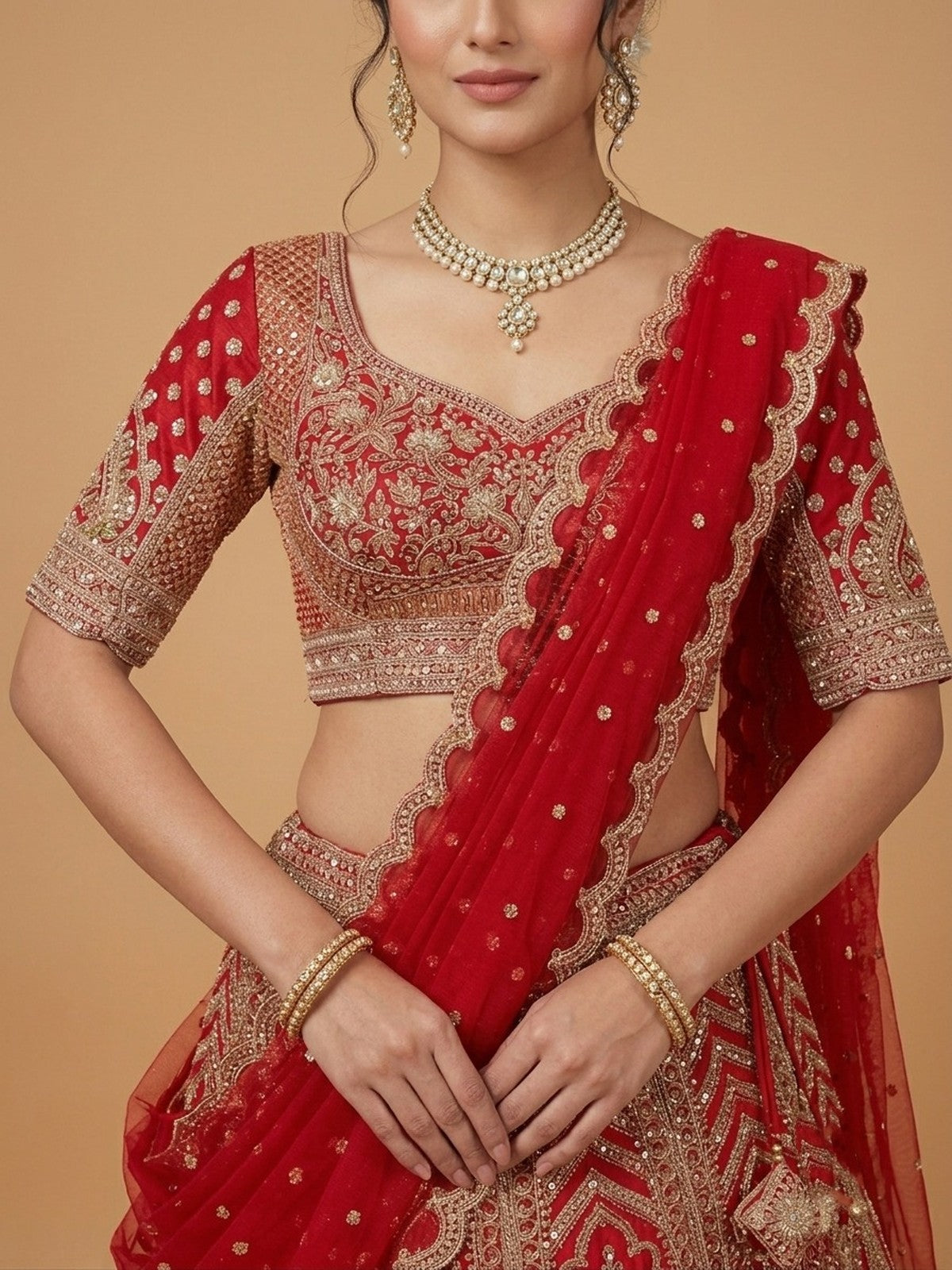 Red Zeb Lehenga Choli