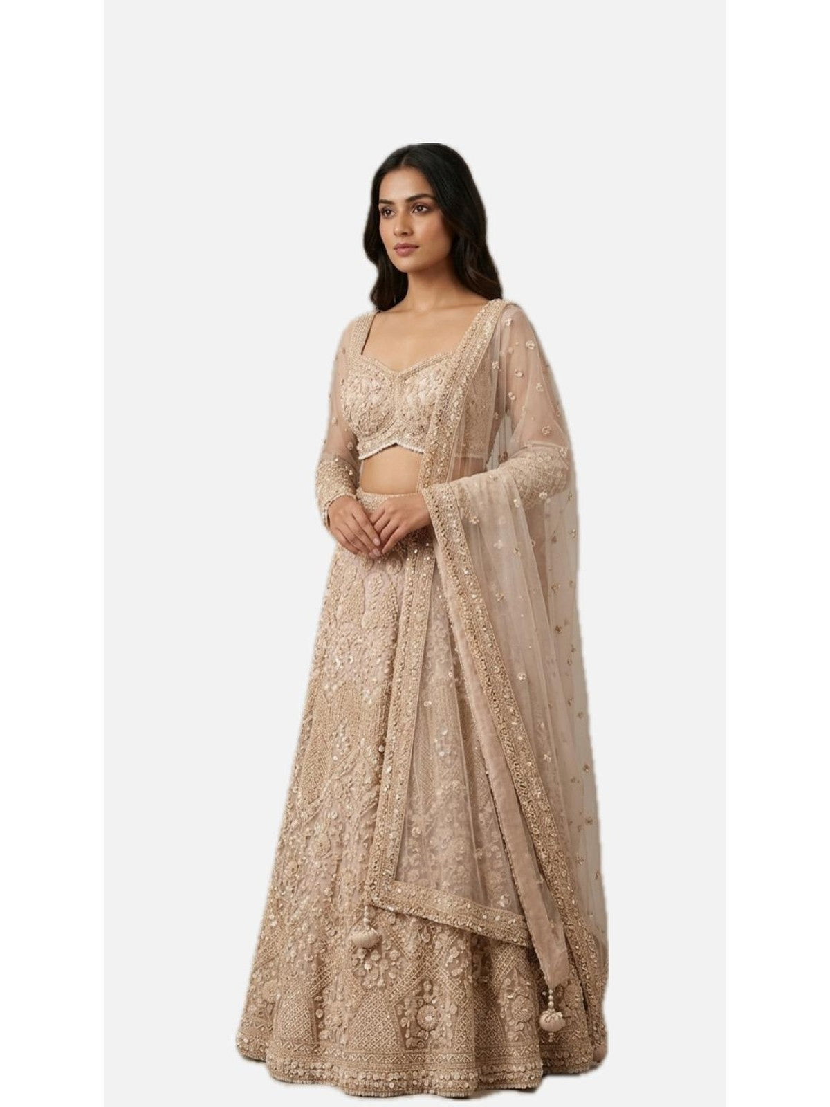 Beige Net Grandeur Lehenga Choli