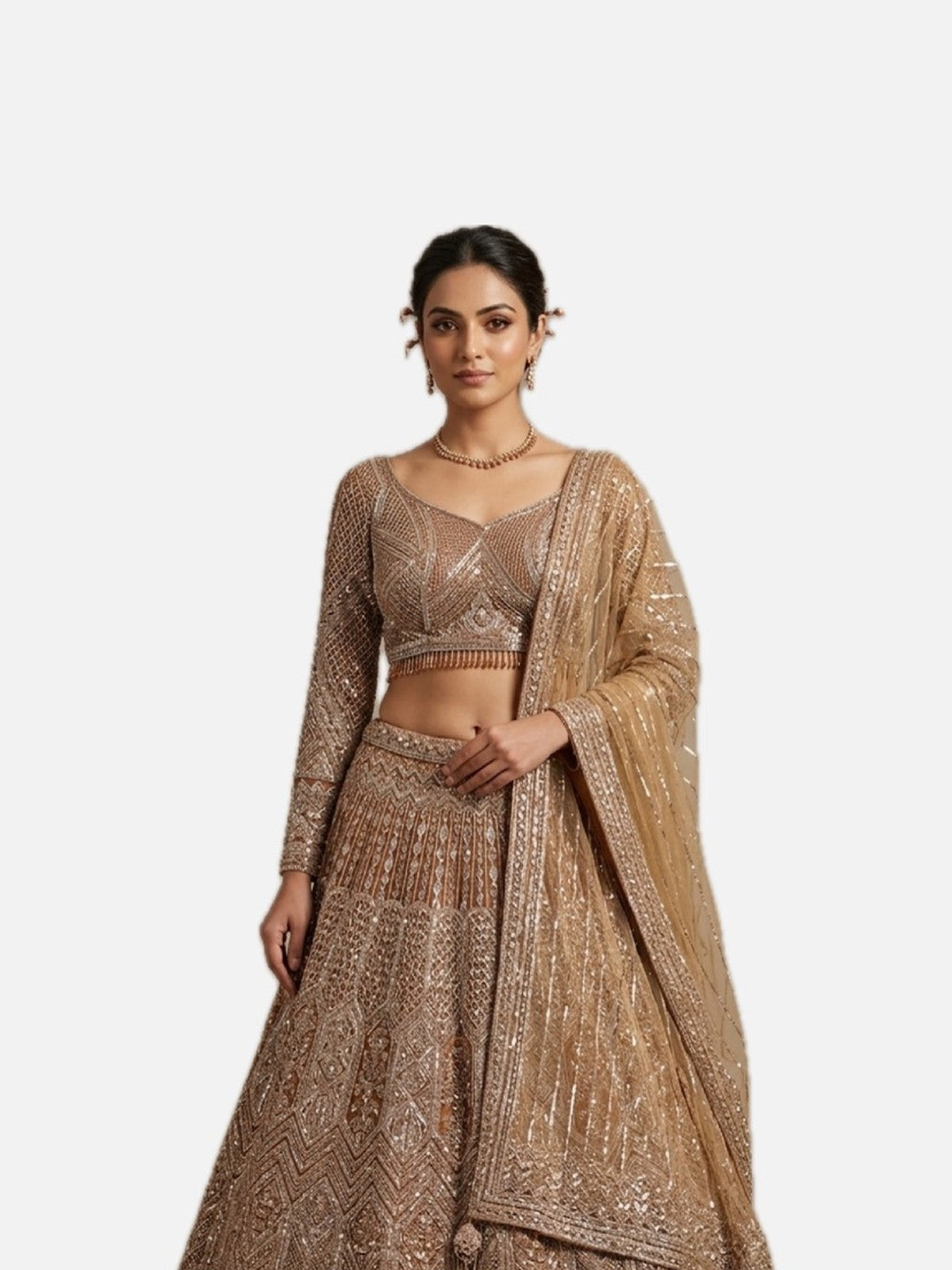 Copper Net Heritage Lehenga Choli