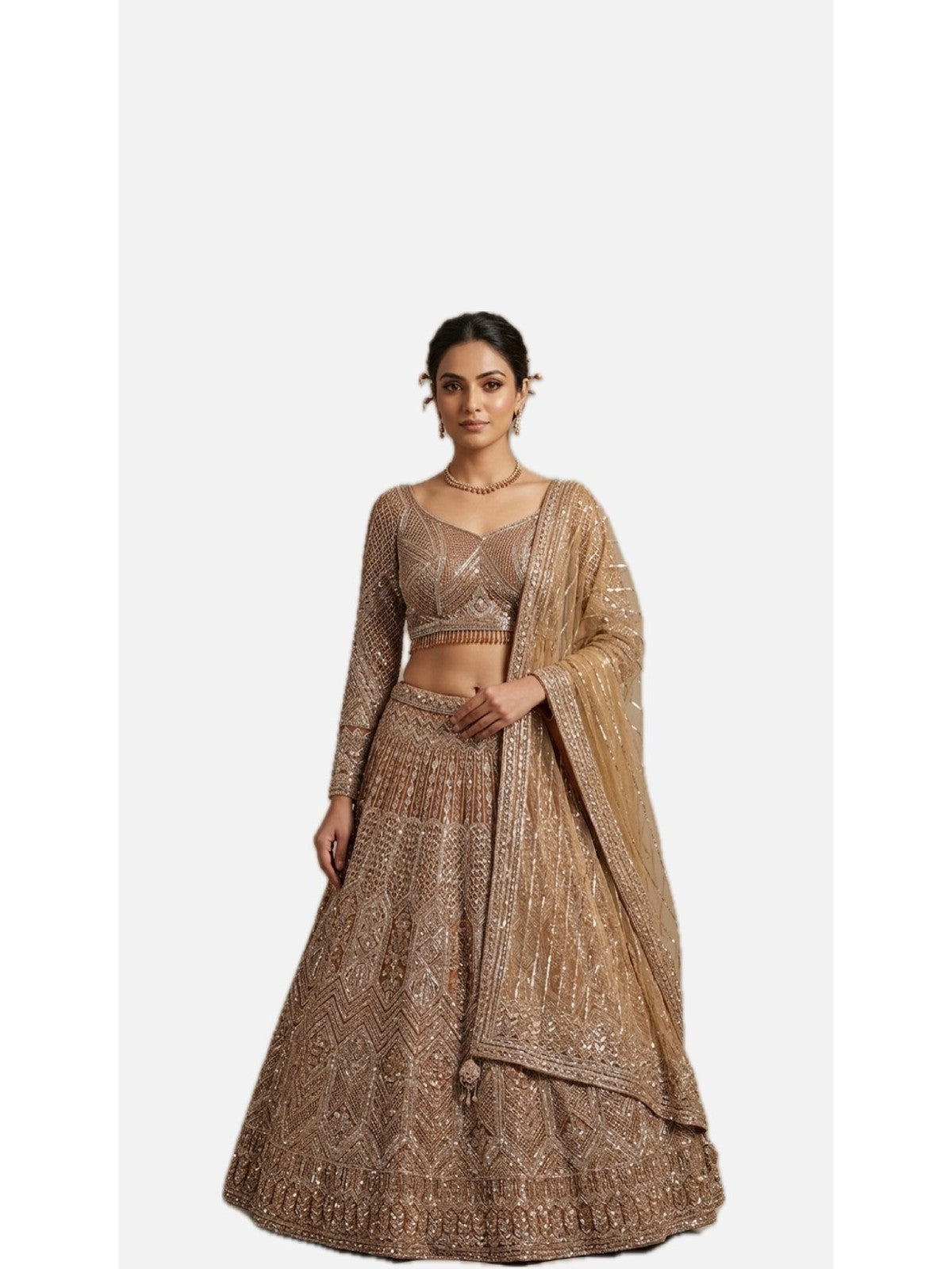 Copper Net Heritage Lehenga Choli